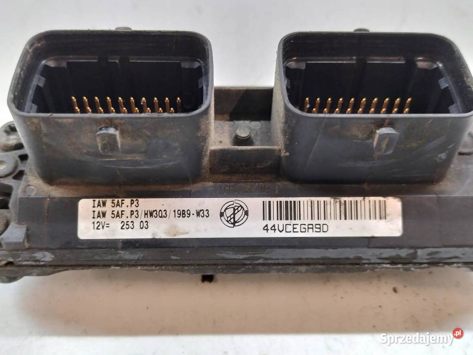 STEROWNIK SILNIKA 55187377 IAW5AFP3 12 B 59 Fiat świętokrzyskie