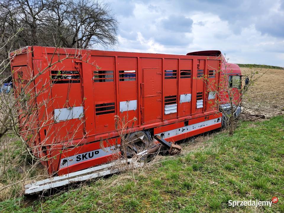 MAN 18310 zabudowa do żywca 2003r Staszów