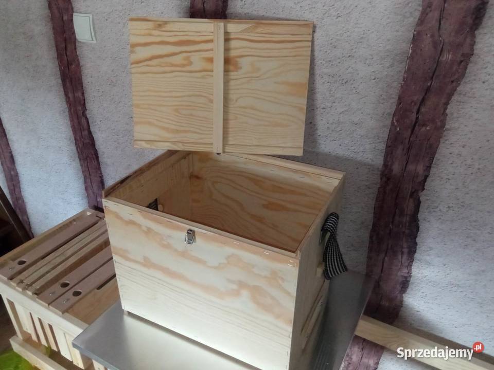 Rojnica transporter wielkopolski 8 ramkowy wielkopolskie Orzechowo