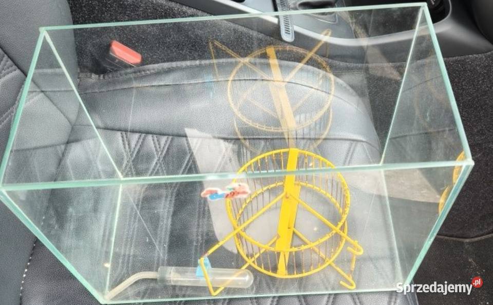 Sprzedam akwarium 15 litrów śląskie Rybnik usługi dla zwierząt