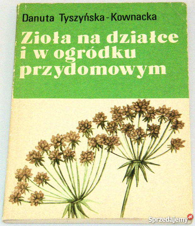 ZIOŁA NA DZIAŁCE I W OGRÓDKU PRZYDOMOWYM lubuskie Zielona Góra