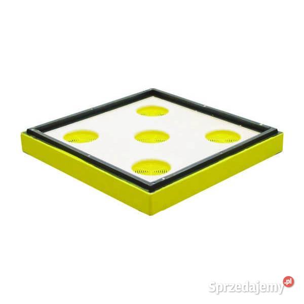 Wielkopolski 10 ramkowy 3x Korpus i dennica podkarpackie Jaśliska sprzedam