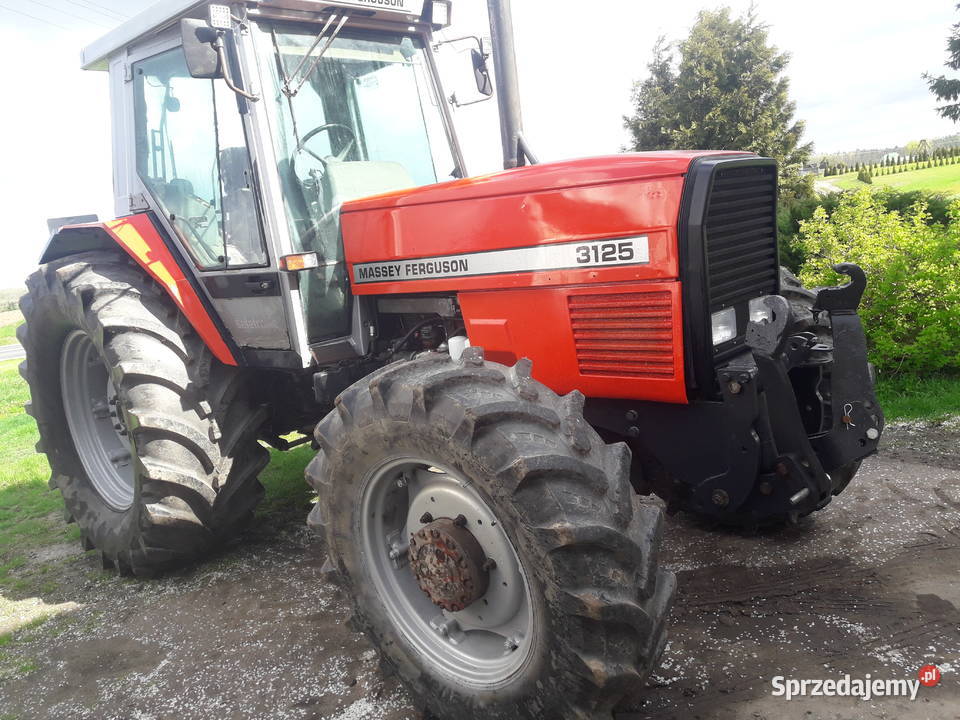 Massey ferguson Brodnica