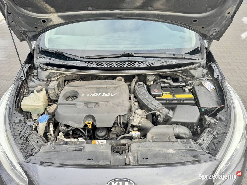 KIA CEED 16 CRDi 110 Łomża