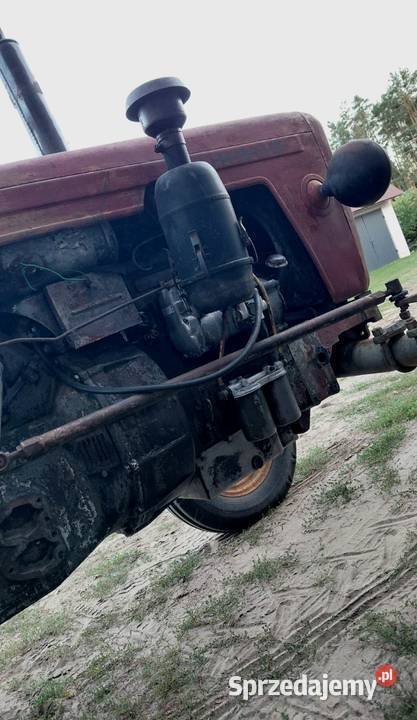 Ciagnik Ursus c328 1963 ciapek zabytek traktor Biłgoraj