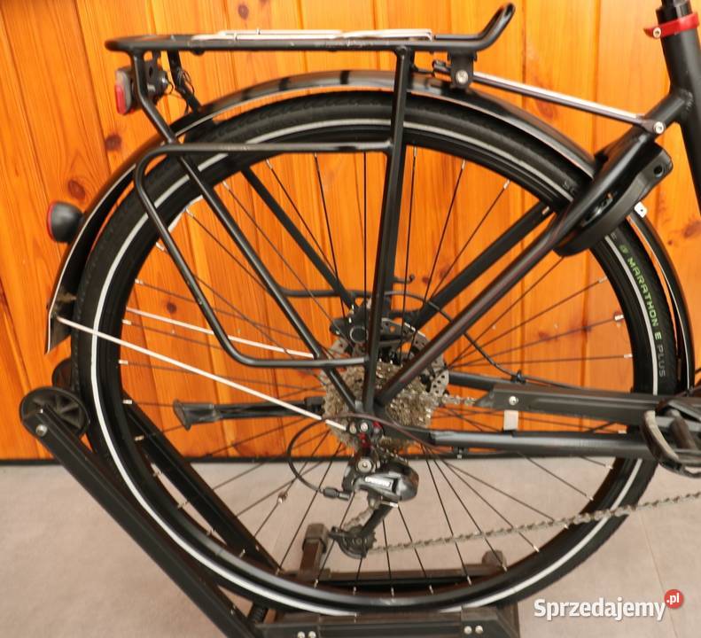 Rower elektryczny Diamant Ubari D 50 RATY