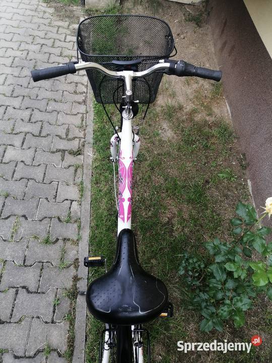 Rower damka McKenzie z Niemiec