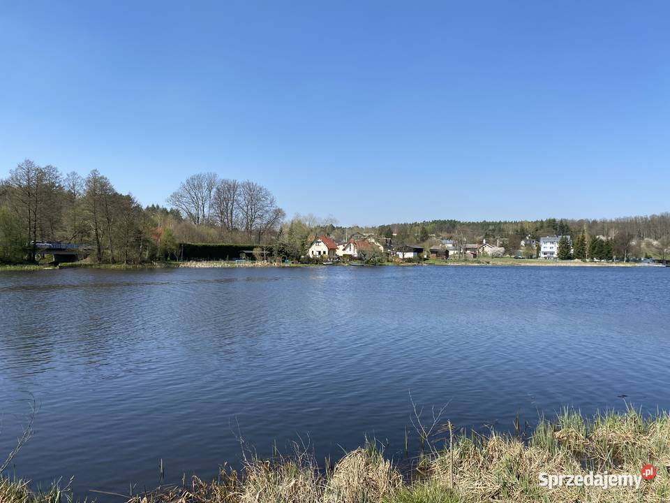 filmowanie fotografi z drona Toruń usługi