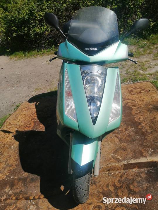 Honda Pantheon 12550 opolskie Brzeg
