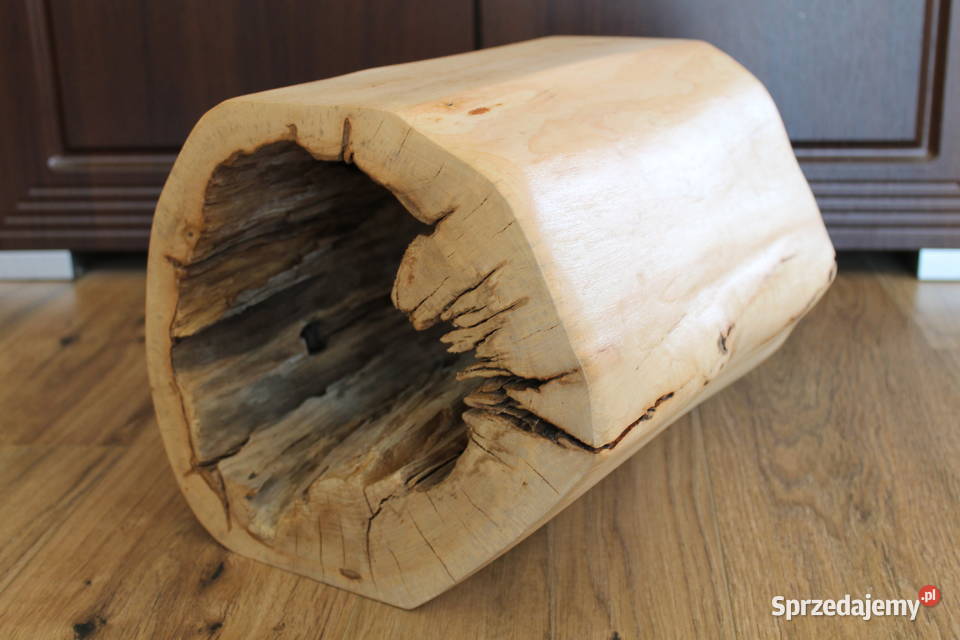 Kwietnik z pnia Siekierki Małe