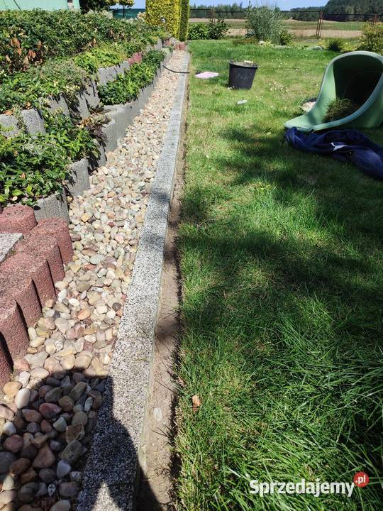 oferuje pomoc w ogrodzie Pilica