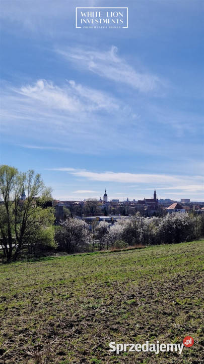 Grunt 87182 metry Kalisz Sprzedaż