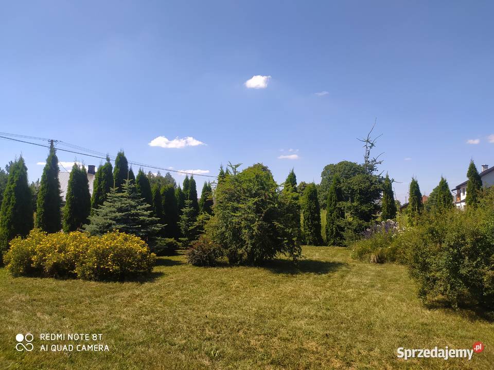 działka Dębe Małe gmLatowicz