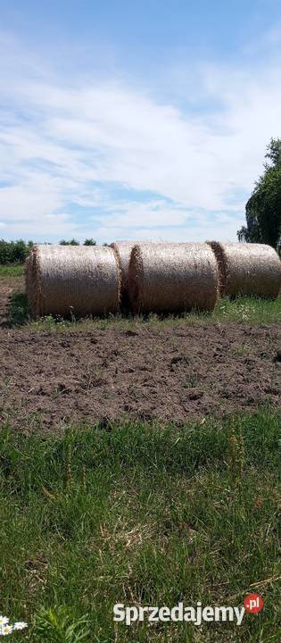 Słoma w belach Piaseczno