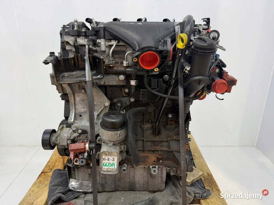 SILNIK G6DA Ford C C 20 TDCI 136 G6DB G6DD G6DG sprzedam