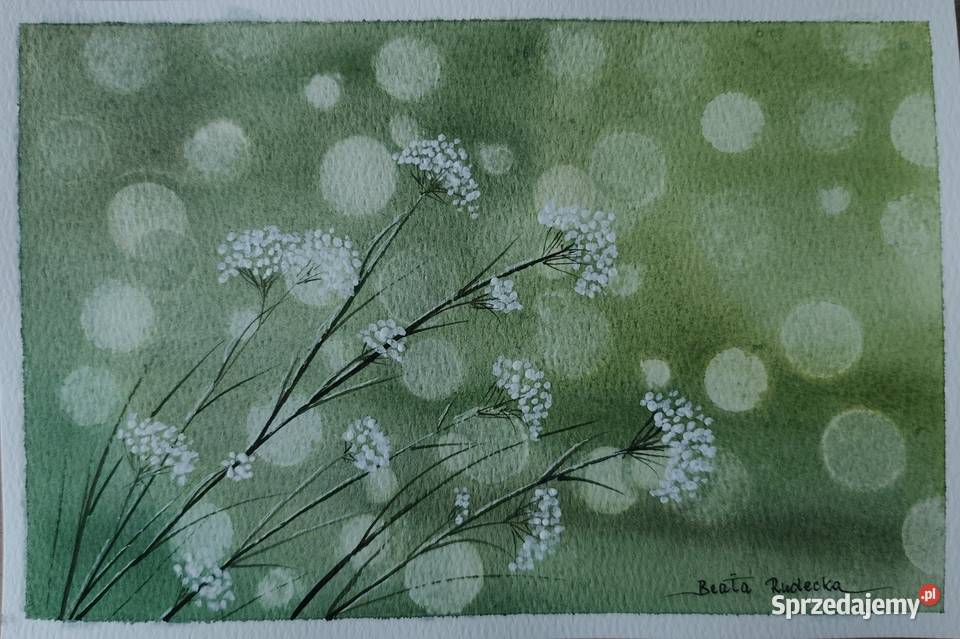 Akwarela Akwarelka Obraz Subtelność Autorska Poznań sprzedam