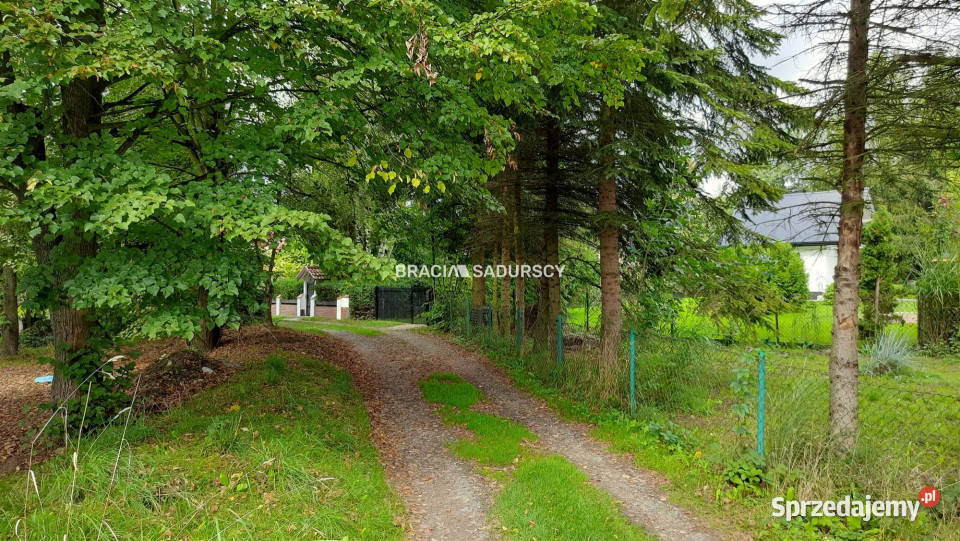 Grunt Lusina 450m2 450m2