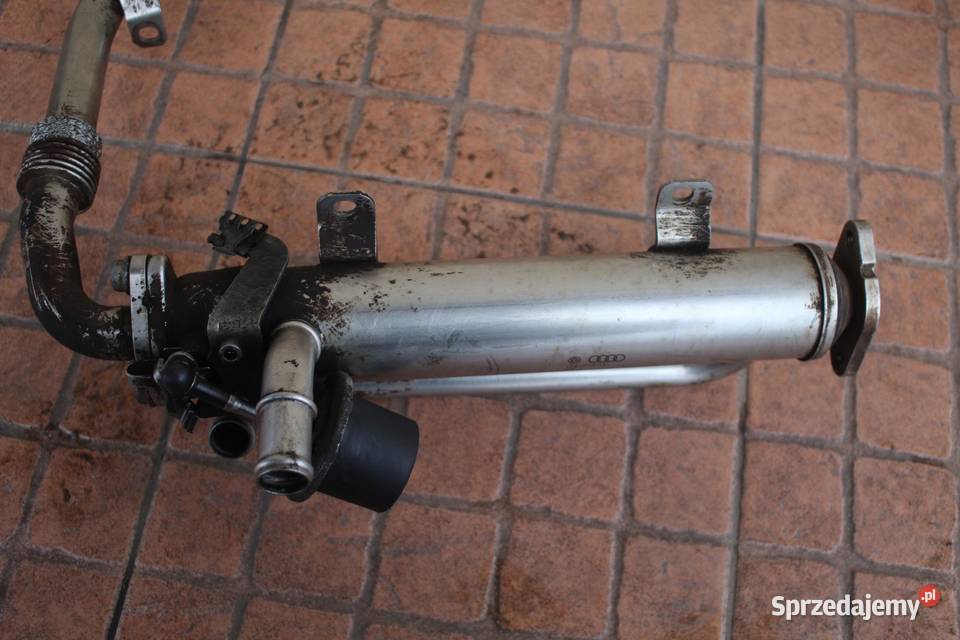 CHŁODNICZKA SPALIN EGR VW PASSAT B6 20 TDI osobowe sprzedam