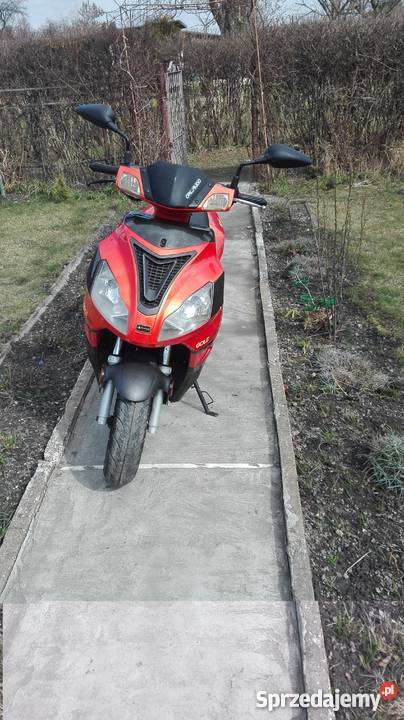 Barton Orlando okazja Zabrze