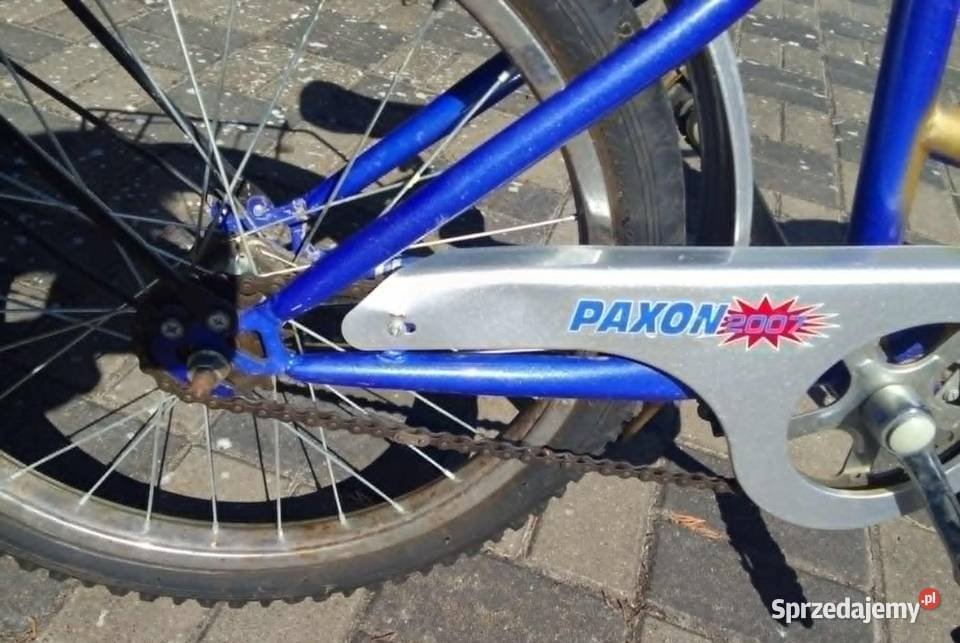 Rower Rowerek 20 dziecięcy młodzieżowy lat 5 Rowerki zachodniopomorskie sprzedam