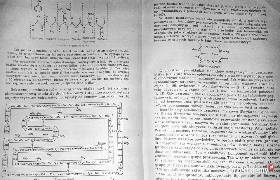 Botanika ogólna Wilhelm Nultsch Rok wydania 1973