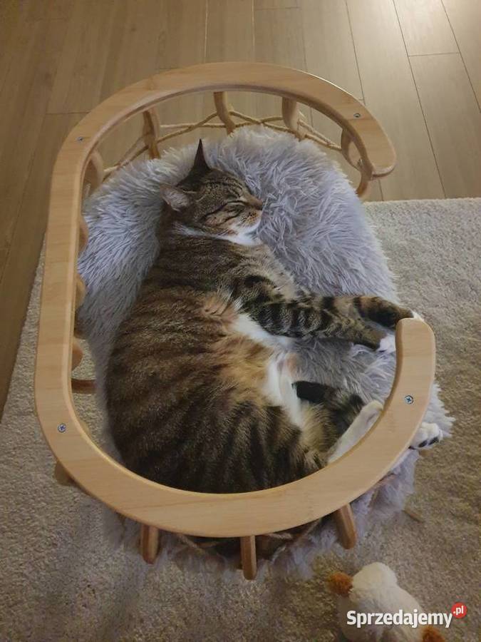 Legowisko drewniane bujane kota PLANPET Wrocław