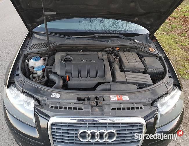 Audi A3 8P Sportback 19TDI 105 Siedlce
