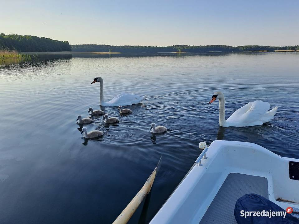 Sprzedam działkę Szczytno sprzedam