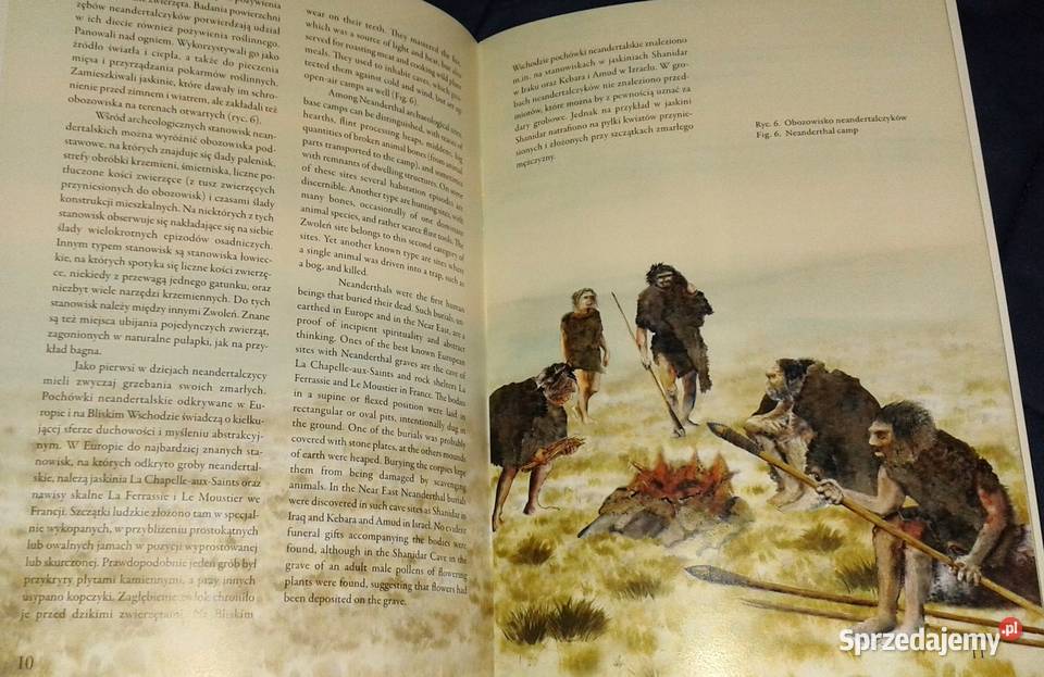 Zwoleńscy łowcy z epoki kamienia Elżbieta