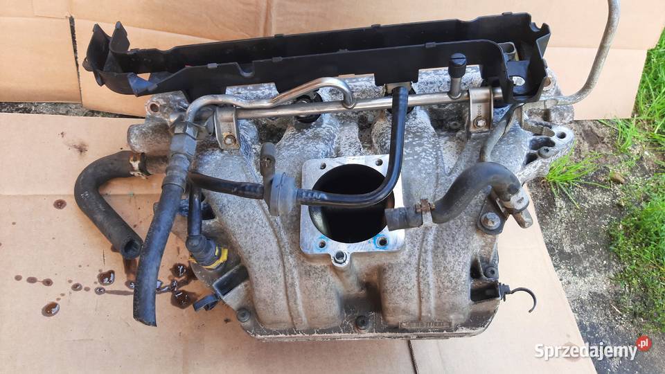 kolektor ssący opel vectra c zafira a 18 16V dolnośląskie Dębno sprzedam