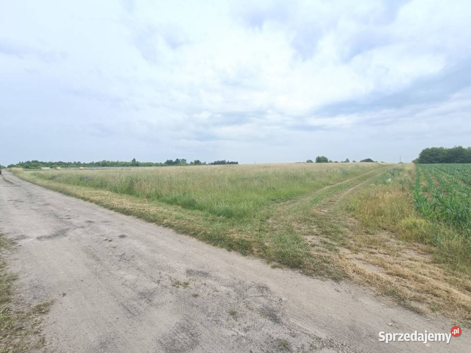 sprzedaży działki 1133m2 Tąpkowice 24m Nieruchomości