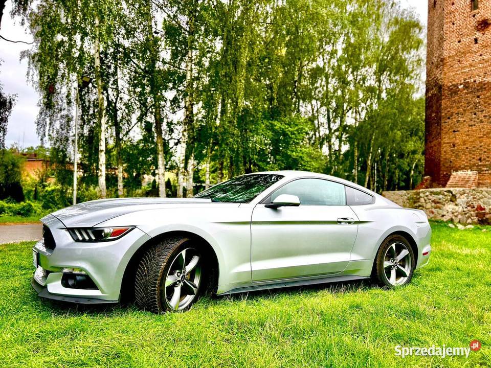 Mustang 37 2016 łódzkie