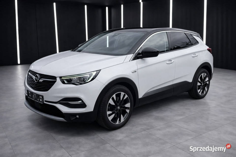 Opel Grandland X AUTOMATbezwypadkowynavikamera Żabno