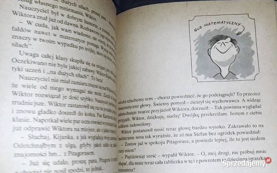 Tajemnica zielonej pieczęci Ożogowska Hanna Rok wydania 1980 sprzedam