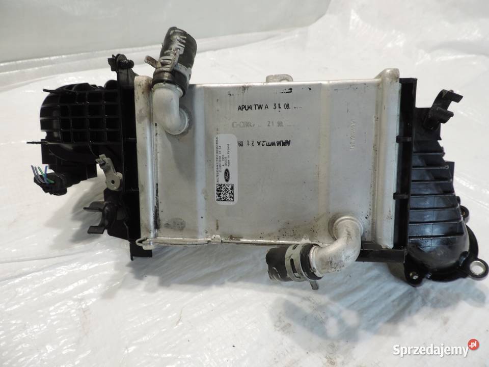 Ford Focus mk4 15d Intercooler JN1Q6C896AC kujawsko-pomorskie