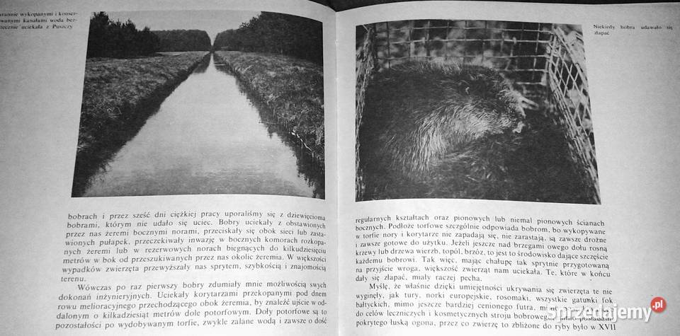 Kampinoskie bobry Piotr Topiński Rok wydania 1987 Chełm