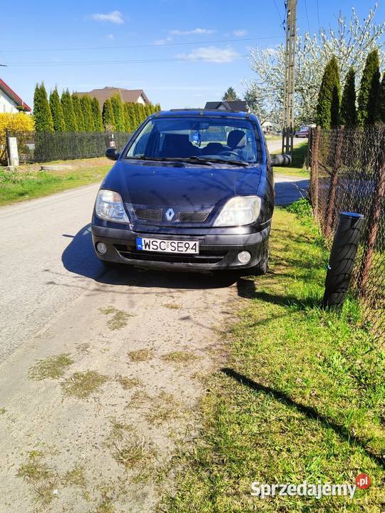 Renault Scenic 16 benzyna 2001 Scenic mazowieckie Młodzieszyn