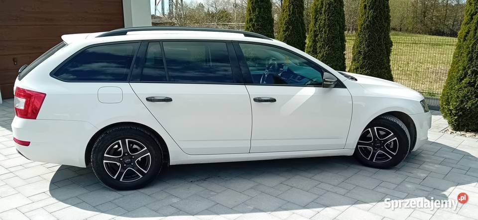 Skoda octavia nieuszkodzony Wielka Wieś