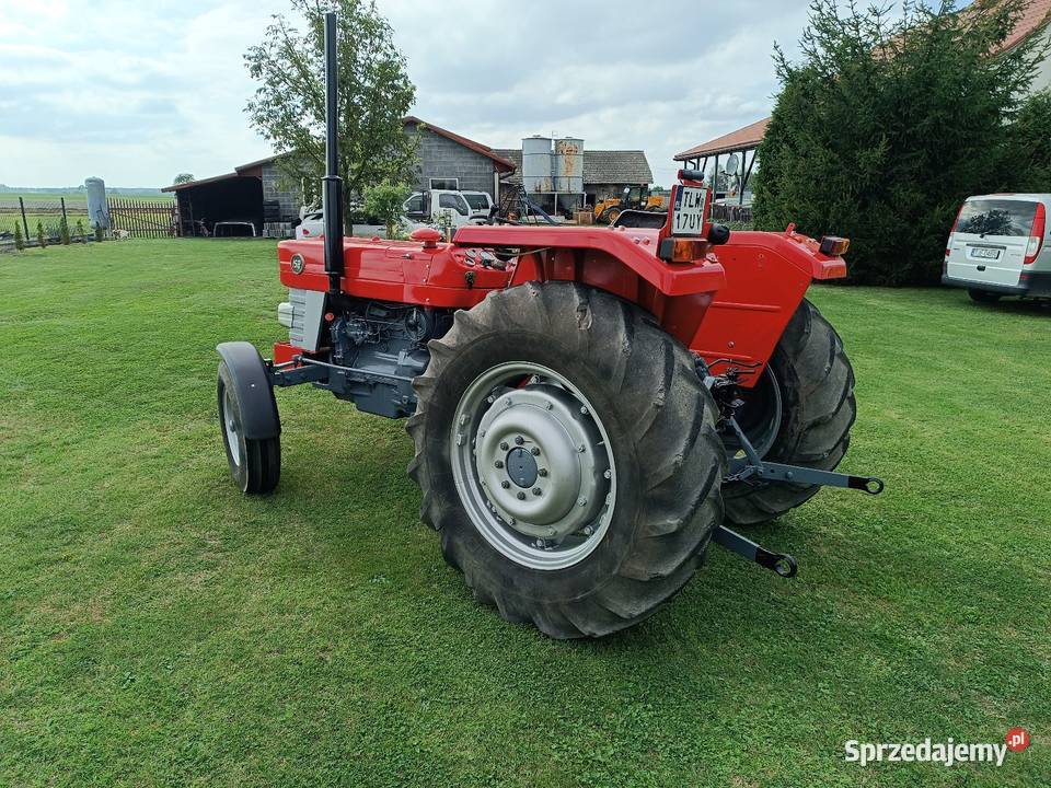 Massey Ferguson 158 zarejestrowany Massey Ferguson świętokrzyskie