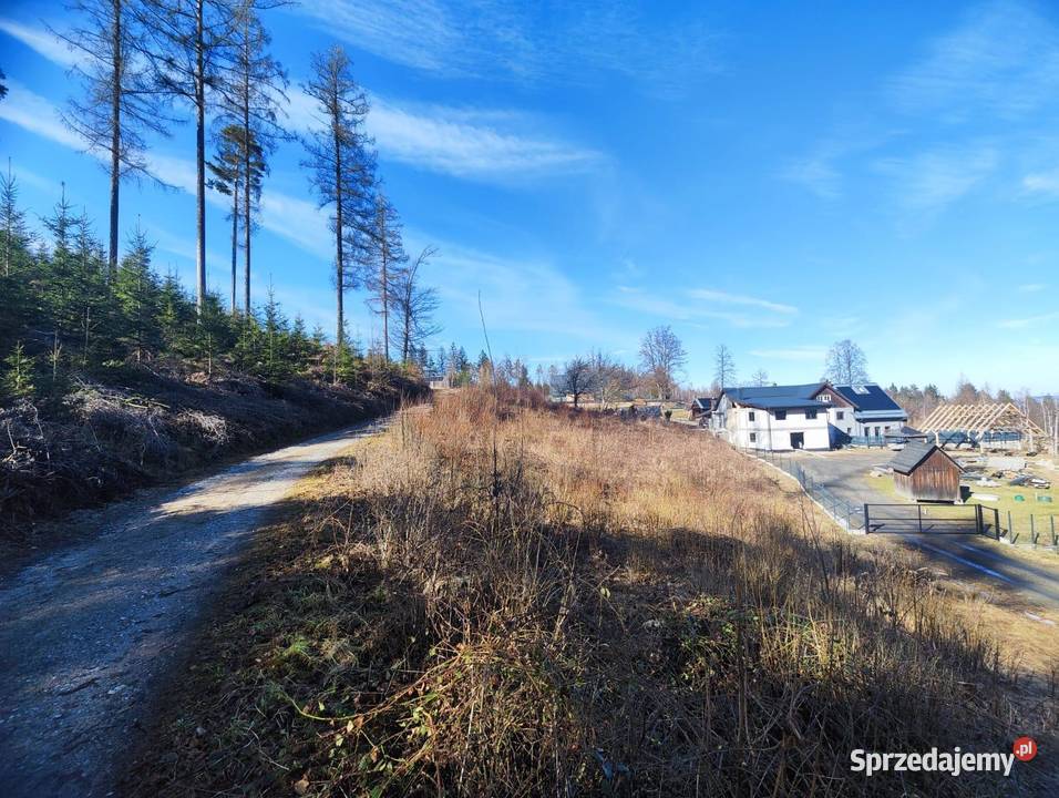 Działka lesie w górach Sosnówka