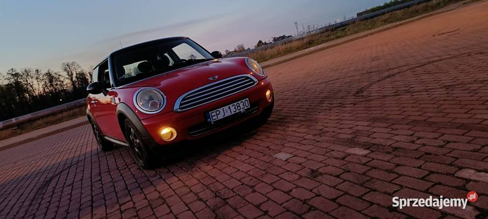 Sprzedam Mini Turek
