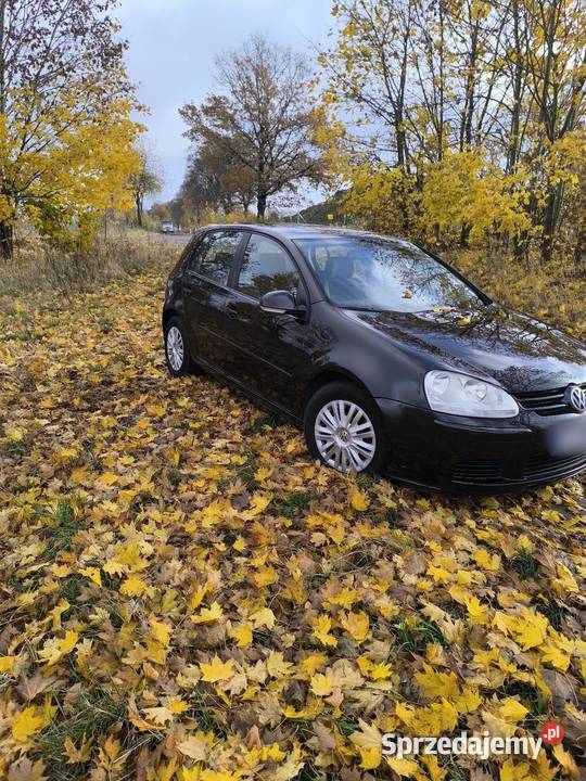 Sprzedam Golf 19 TDI 90 koni Trzcianka sprzedam