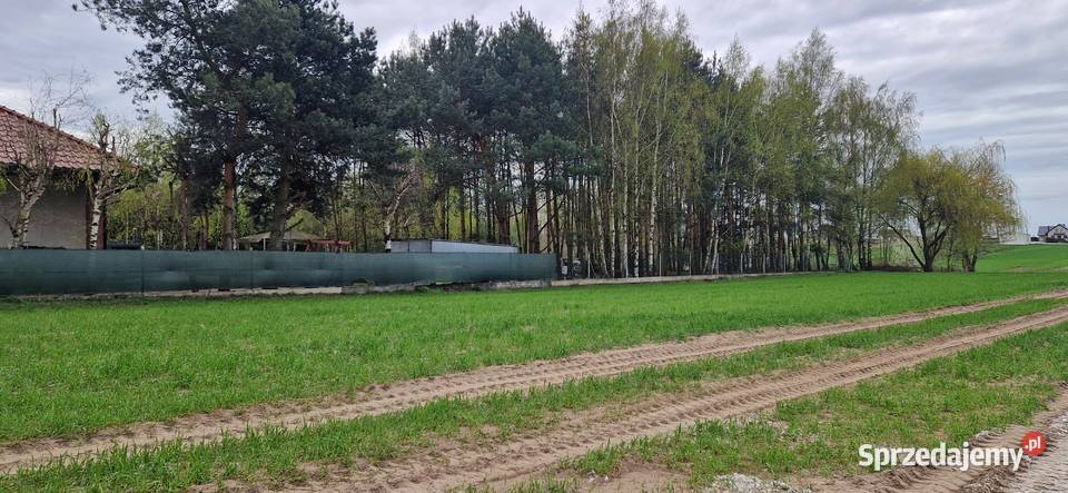 sprzedam działkę budowlaną 96zł/m2 łódzkie Czarnożyły sprzedam