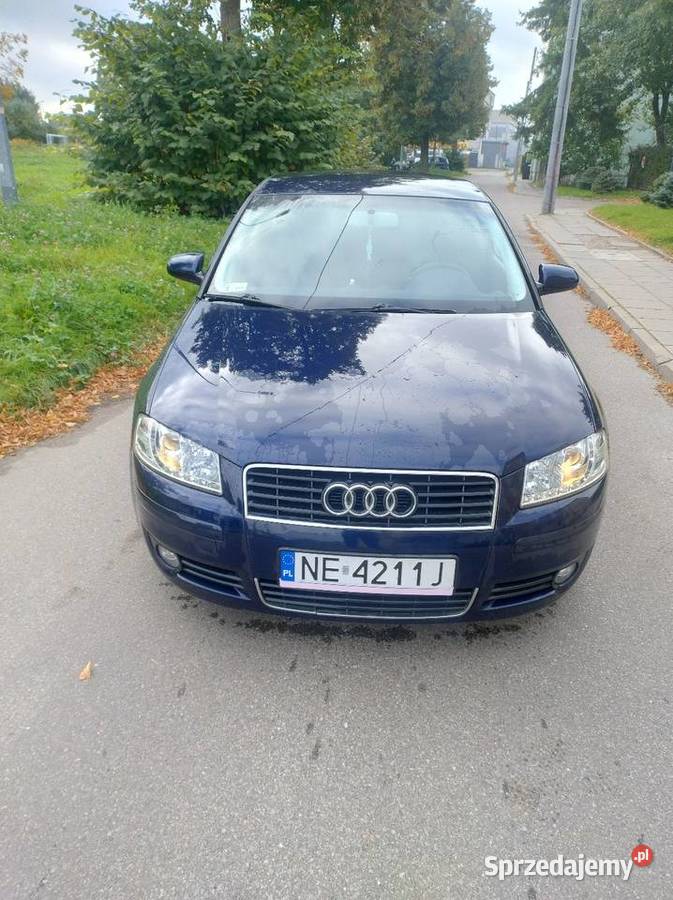 Audi A3 8p 20 TDI 20034r Klima 3 Lata w 1 Wł przyciemniane szyby Elbląg sprzedam