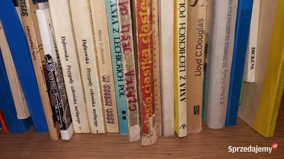 Wakacje fiordem Carpelan książki dziecięce Antykwariat Warszawa