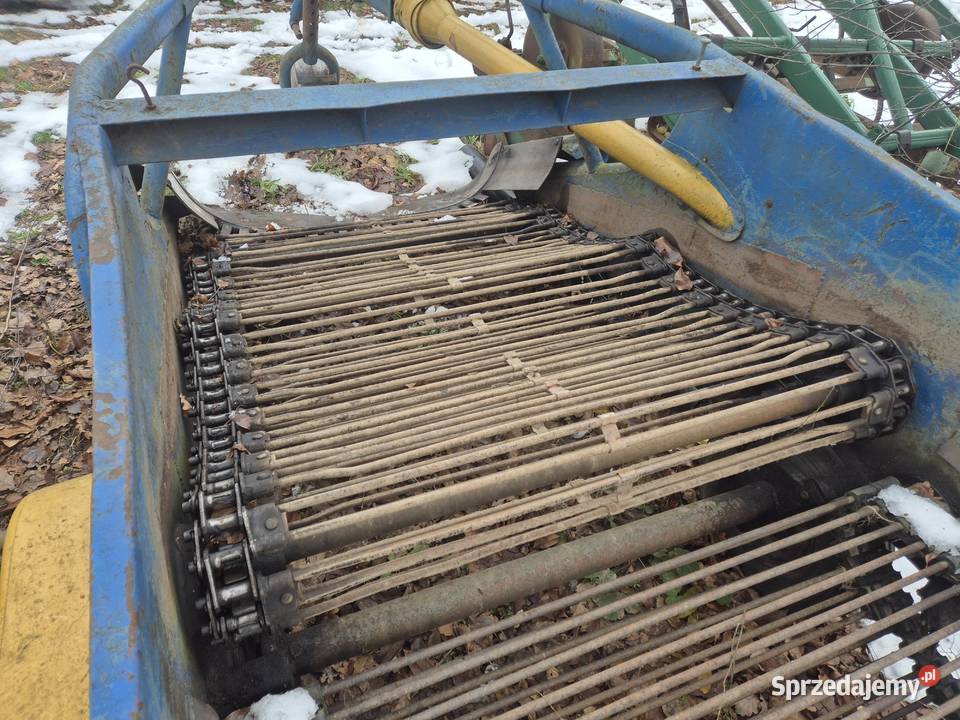 Kopaczka elewatorowa dwurzędowa do ziemniaków