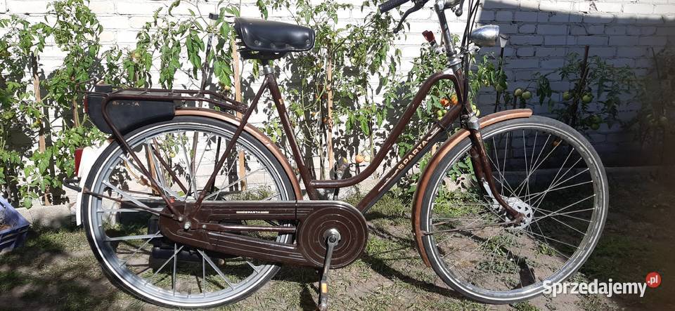 Sprzedam rower Sparta Sachs z silnikiem lubelskie