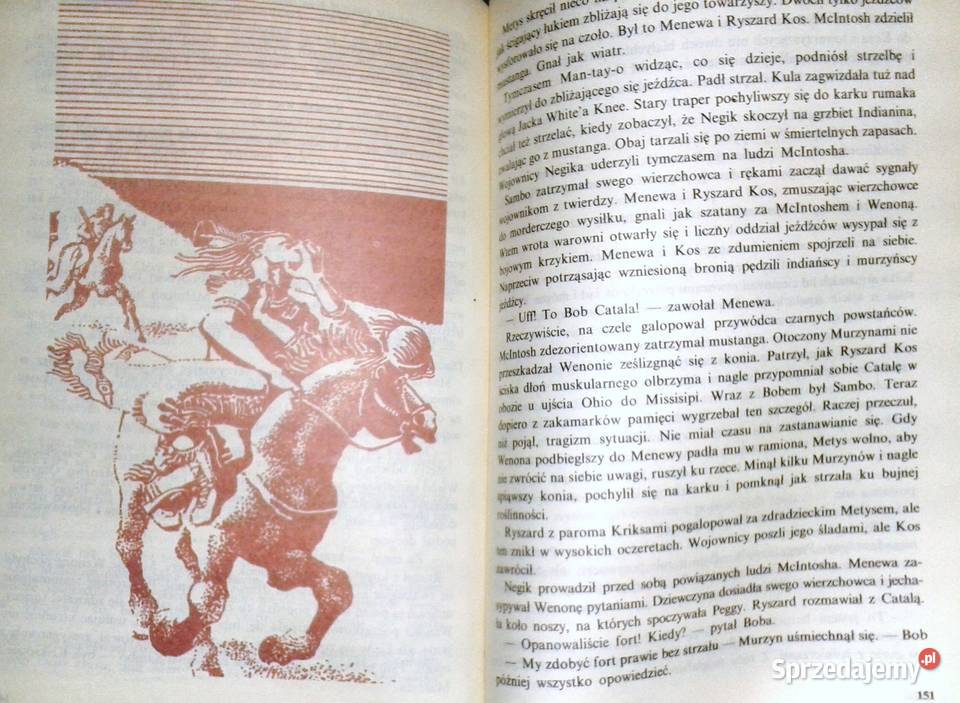 Śladami Tecumseha Longin Jan Okoń miękka Pozostałe Chełm sprzedam