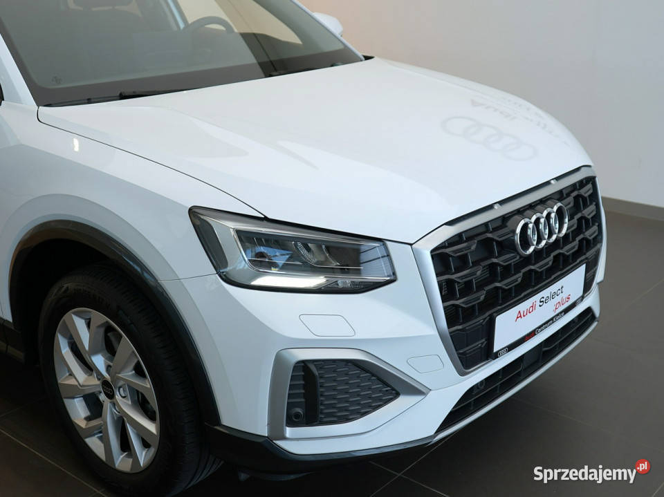 Audi Q2 35 TFSI 150 Kamera Tempomat MartwePole świętokrzyskie Kielce