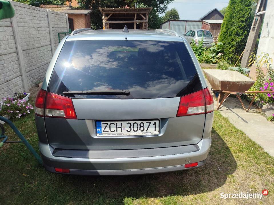 Opel Vectra C 19 diesel Bierzwnik